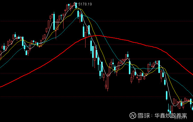 全球沦陷,我们怎么办?