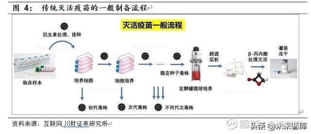 2. 重组亚单位疫苗(重组蛋白疫苗)