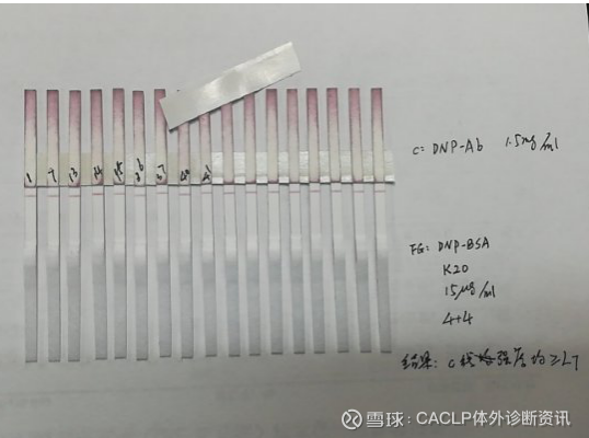 客户评测新冠检测试纸(胶体金法)