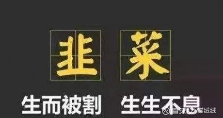 a股散户最多的公司排名:割韭菜的大镰刀