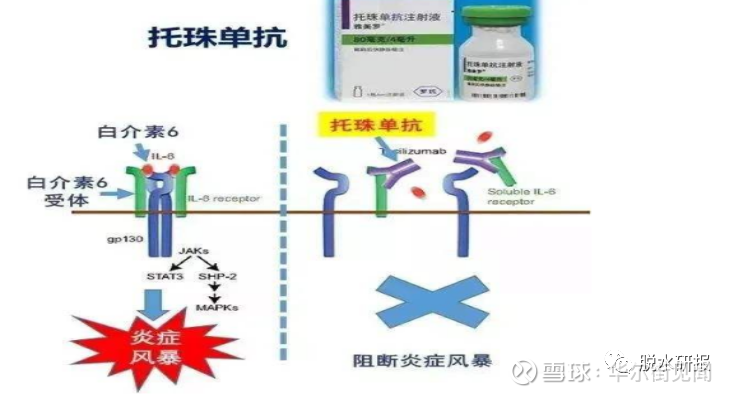 ②托珠单抗类似药批咨上