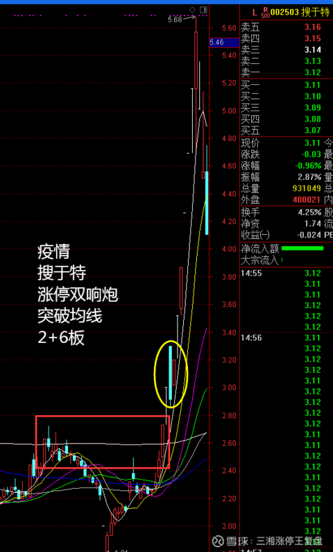 涨停双响炮100个牛股大总结!