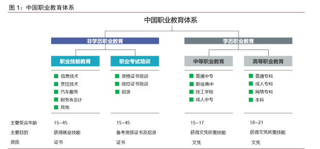 职业教育产业链梳理,处于高增长阶段的是哪些子版块?