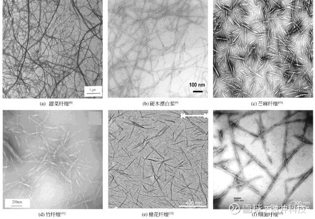 来源,制备方法及纤维形态不同,纳米纤 维素可分为纤维素纳米晶体(cnc)