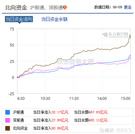 宁德时代 中国平安 安琪酵母 五粮液 东山精密 上海机场 海螺水泥