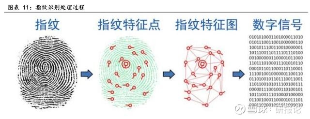 2.电容式指纹成功引领智能手机生物识别技术升级