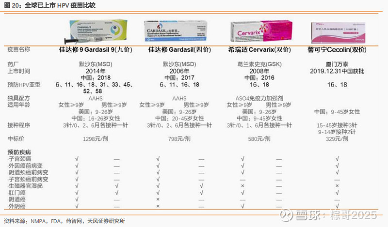 hpv疫苗包括英国葛兰素史克(gsk)的二价苗cervarix,美国默沙东的四价