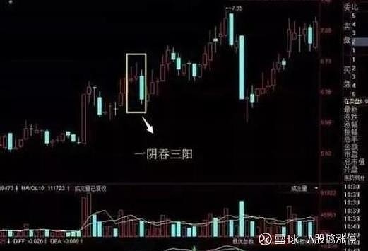 旱地拔葱