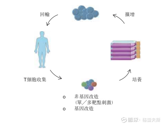 癌症免疫治疗及细胞免疫治疗概览