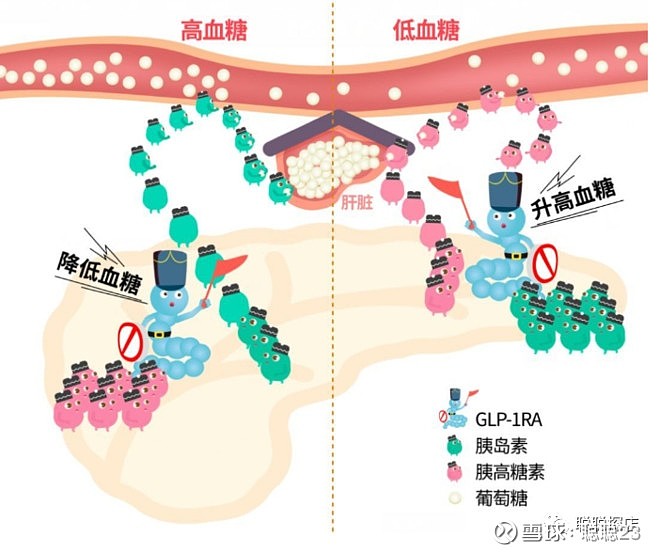 毁誉参半的生物茅台甘李药业八