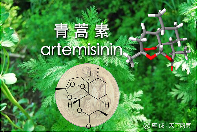 非洲发现耐青蒿素疟原虫疟疾越来越难治了