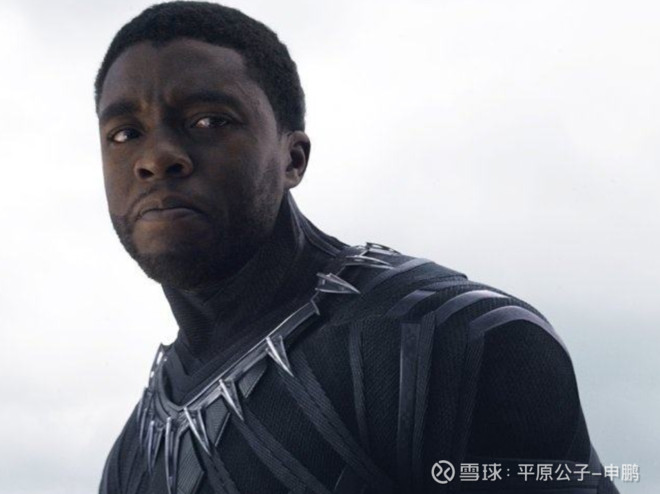 平原公子:《黑豹》救不了黑人