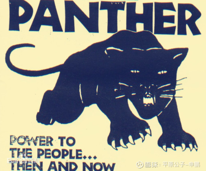 平原公子:《黑豹》救不了黑人