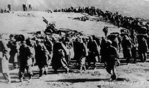 平原公子：印度这回，比1962年还蠢