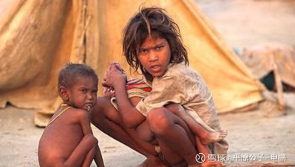 平原公子：咖喱味的SHI，还是SHI味的咖喱？