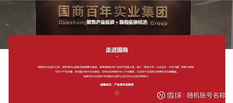 国商百年在中国中93企业协会产业资本运营专业委员会,中国投资协会