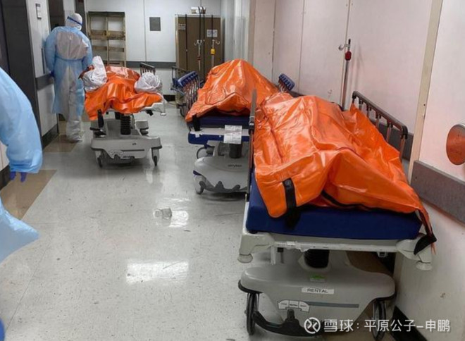 平原公子：你想象中的那个美国，根本不存在