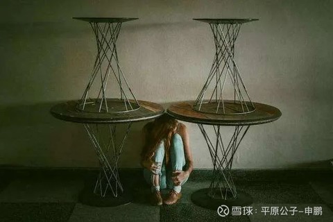 平原公子：《我和我的家乡》回老家还是留在大城市