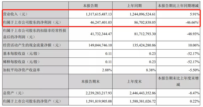 “双十一狂欢”网红直播引爆A股，大牛股连拉20%