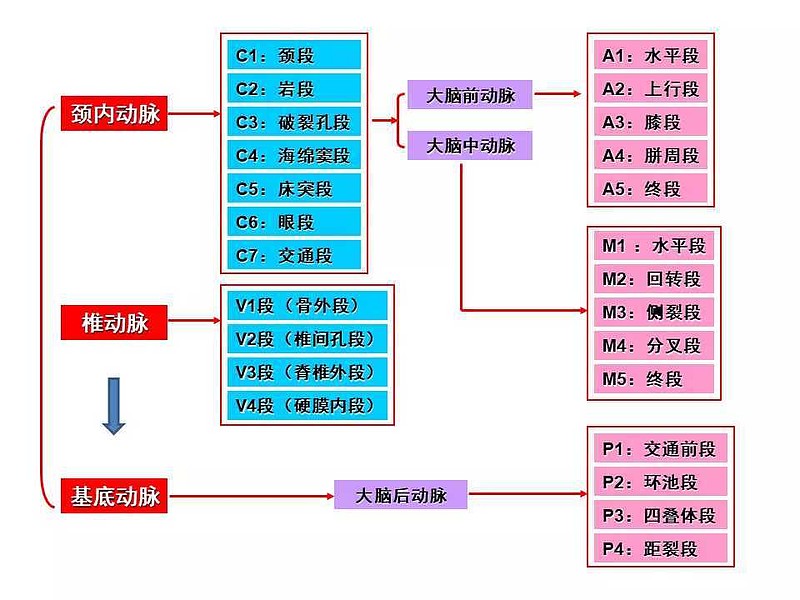 信立泰椎动脉支架定义为me-better产品的竞争力分析