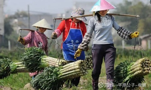 平原公子：被嫌弃的农村人