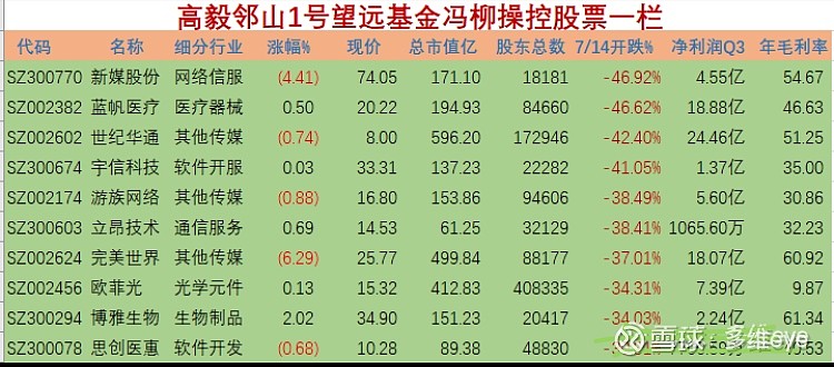 冯柳操控的高毅邻山1号望远基金股票跌幅前十股票一栏表