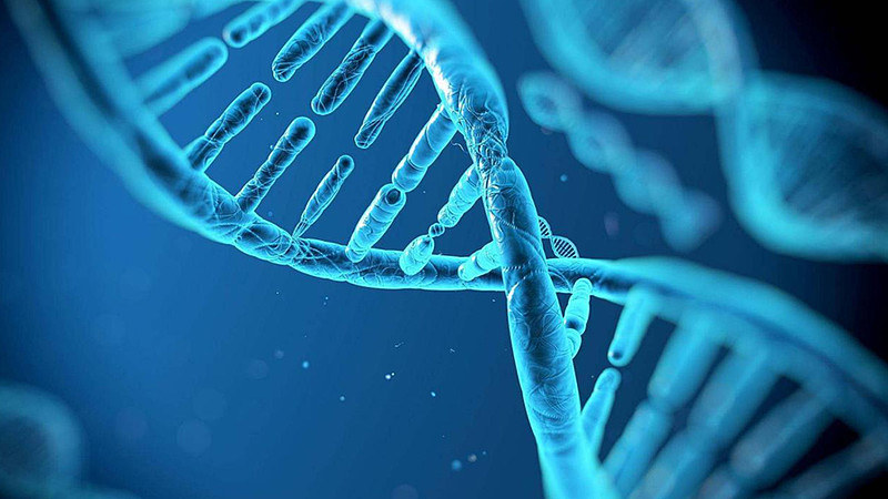 全球「抗疫」背景下,中国生物医药企业的核心能力是什么?