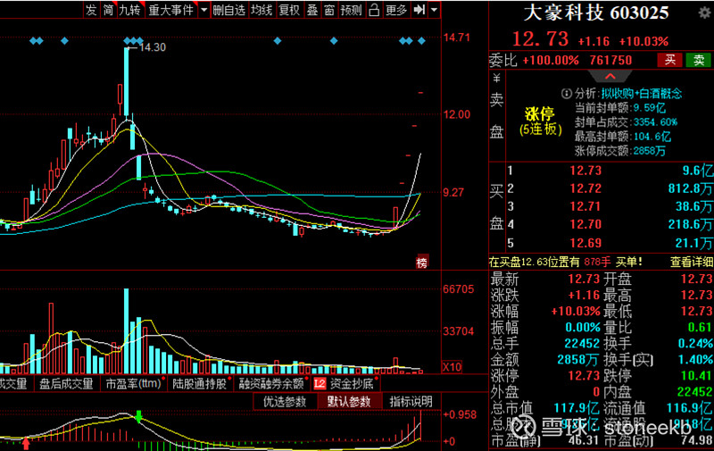 大豪科技(5连板)