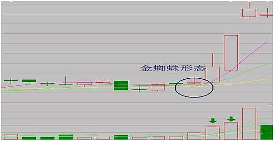 中国股市发现金蜘蛛形态果断出手该股后市股价直线拉升