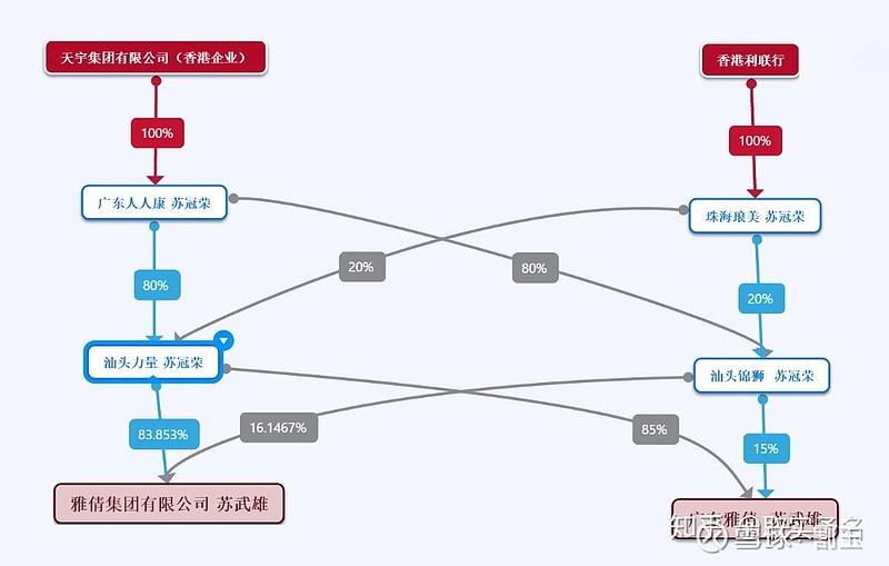 实控人是家族的老二苏壮强.