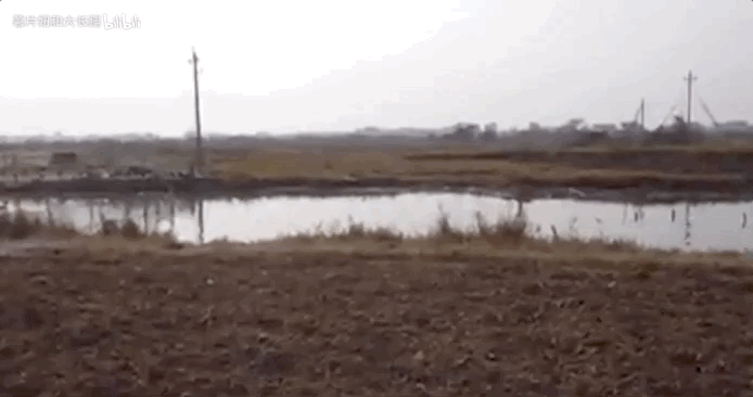 淘宝上的年轻人,才是春节气氛组担当 文丨后摇 春节总