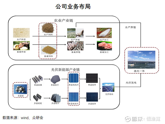 通威股份:光伏产业链中被低估的龙头?