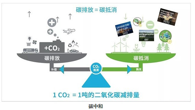 碳中和时代,新能源蝶变