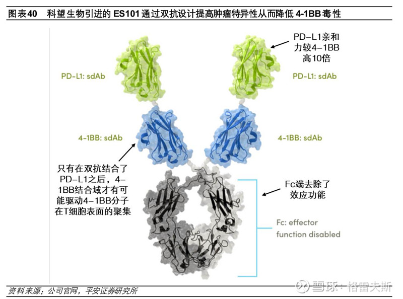 的pd-l1/ctla-4 对称全长型 4 价双抗,由两种不同的单域抗体(sdab)及