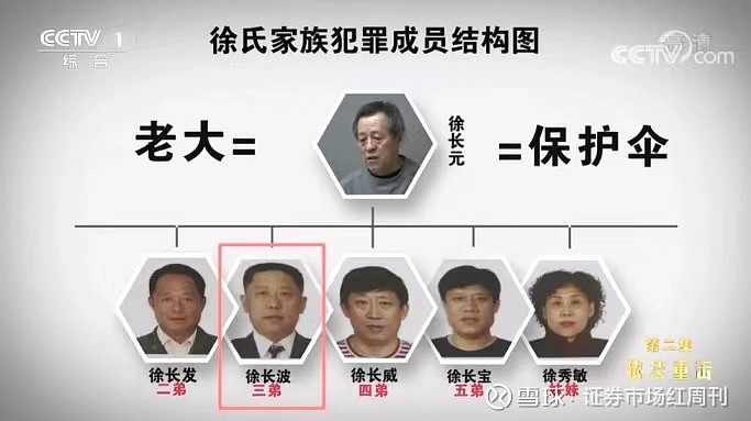 图1 徐氏家族犯罪成员结构图