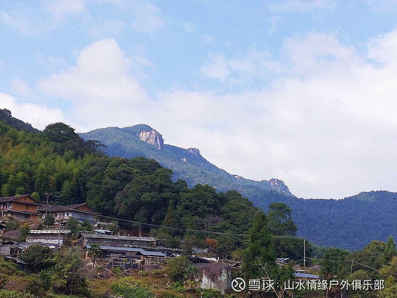 永泰芹菜湖石柱山寻千年野茶有感