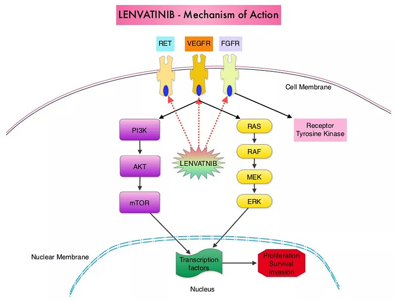 卫材酪氨酸激酶抑制剂lenvatinib(lenvima)