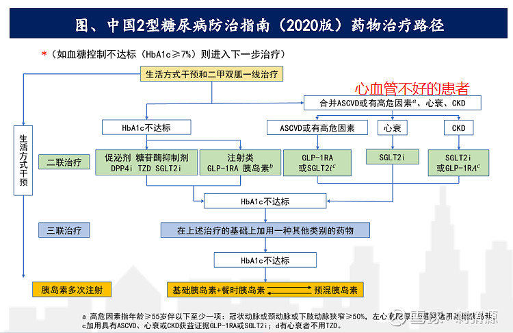 行业分析糖尿病药物治疗行业