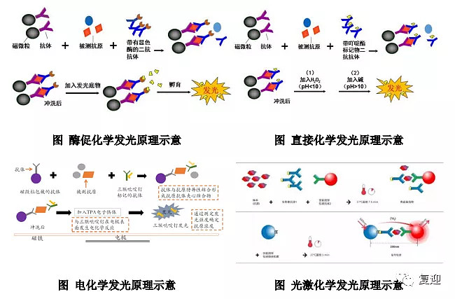 国内领先的光激化学发光免疫诊断企业科美诊断