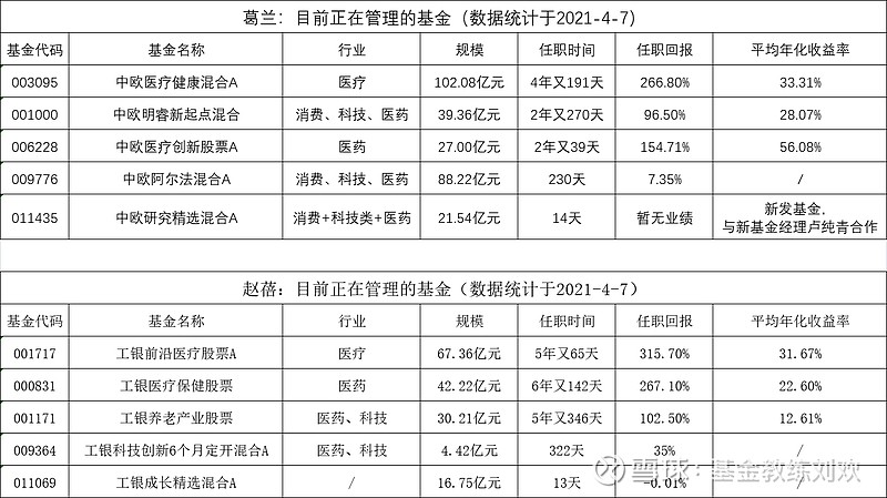 医药女神葛兰pk赵蓓有蓓而来谁与争锋三