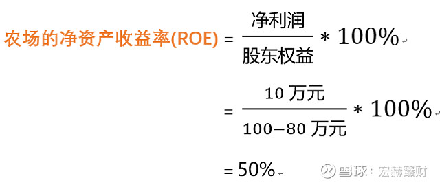 什么是 roe