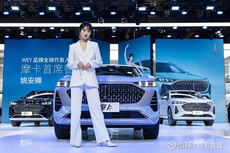 长城汽车,由于任正非的二女儿现场代言,接近涨停
