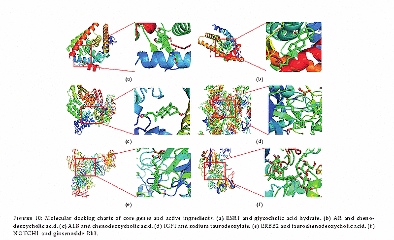 通过网络药理学和分子对接揭示出片仔癀对肝癌的作用机理