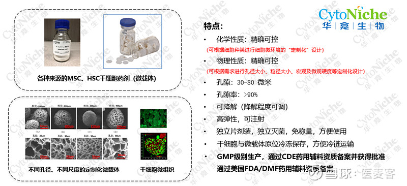 干细胞3d微载体规模化生产工艺及质量控制(上)丨医麦新观察