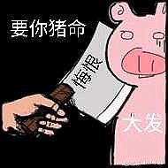 到底是猪吃玉米还是玉米吃猪?