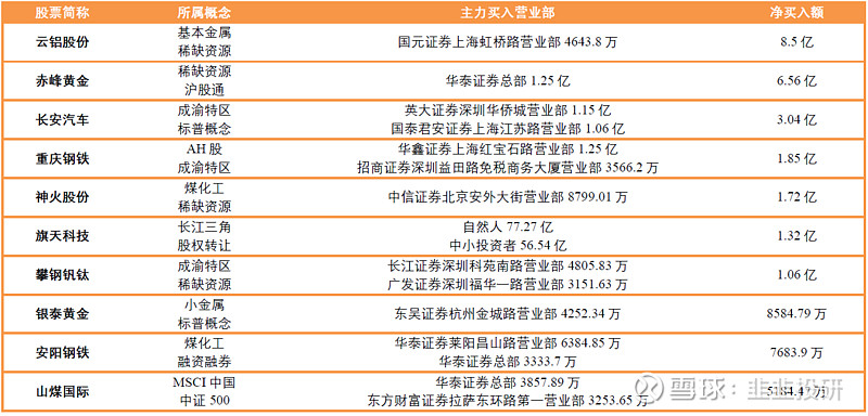 净买入额排名前10的股票: xraybot(爱科思瑞铂特)技术公司,是中国