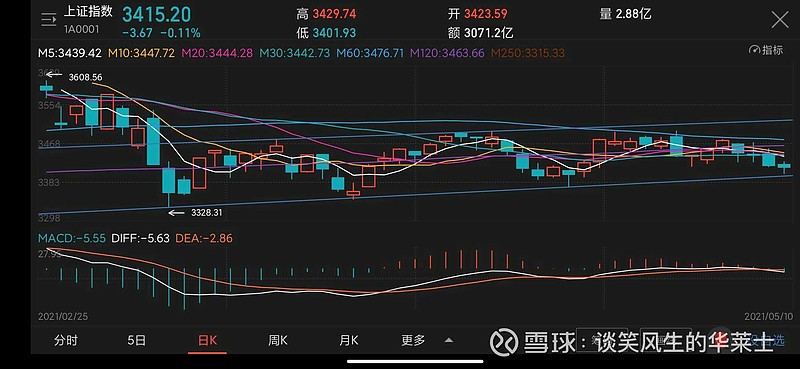 华莱士的投资日记(2021-05-10)