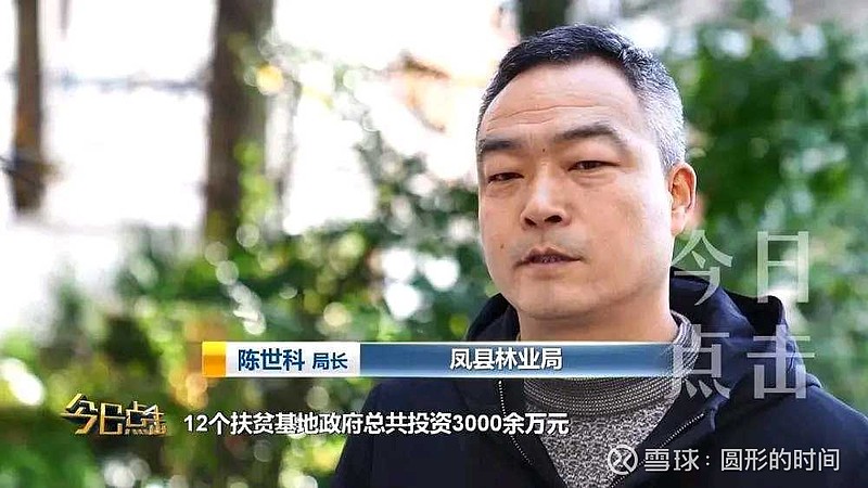 凤县林业局局长 陈世科12个扶贫基地政府总共投资3000余万元建成以后