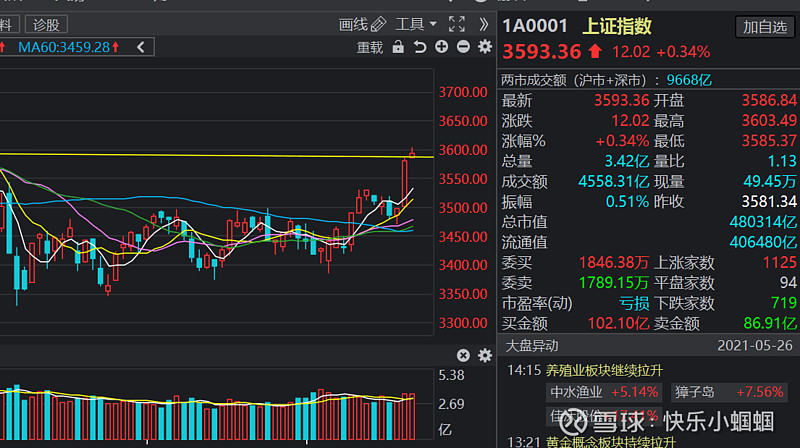 2021.5.26 大盘走势平稳,顺应趋势安心持有