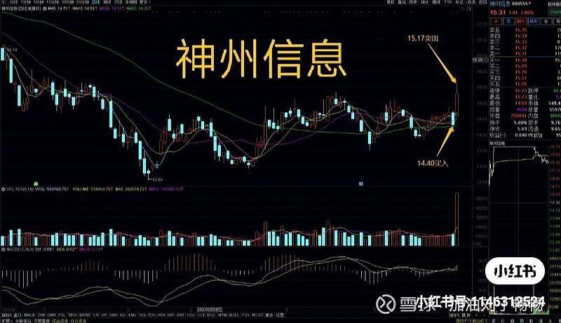 06.03卖出复盘 今日卖出3个股票: 97 神州信息